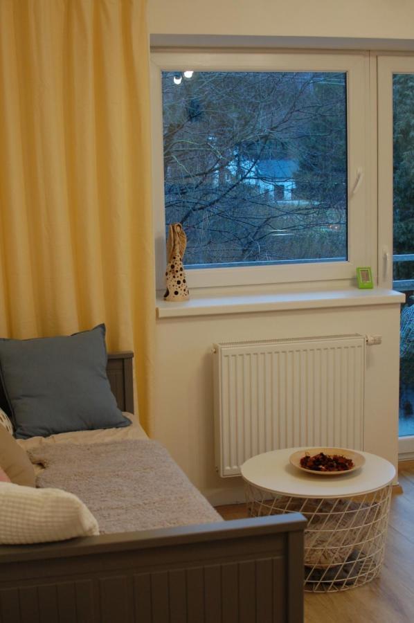 Apartman Masaryk Липова Лазне Екстериор снимка